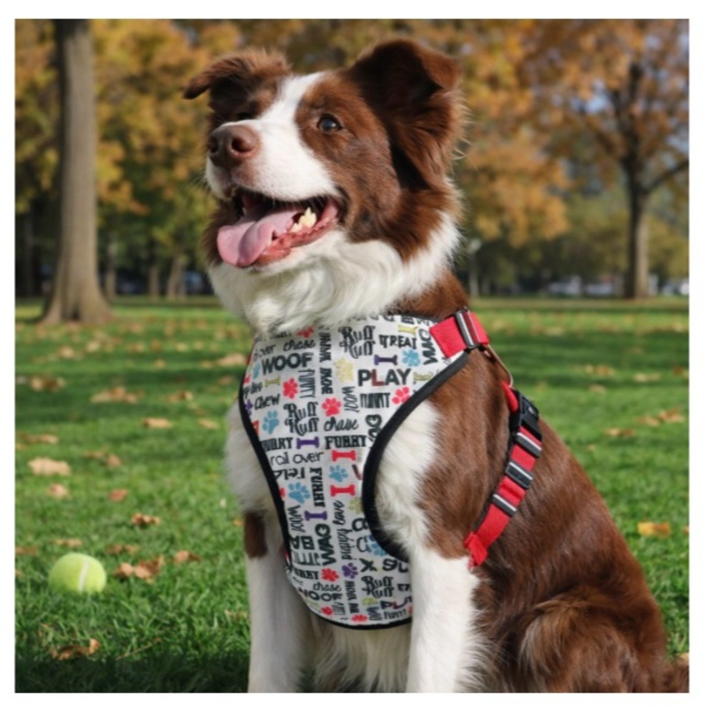 NEW Colorful Padded Dog Harness with Fun Text
